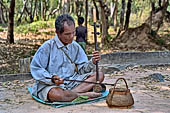 Siem Reap - musician asking tip to the tourists